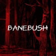Icono de programa: Banebush