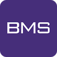 Icon of program: BMS Token