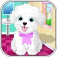 Icon of program: Puppy Pet Daycare - Carin…