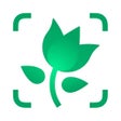 Icon of program: PictureThis