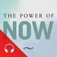 Icon of program: Practicing the Power of N…