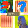 Icon of program: Match Card Pair : Premium…