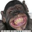 Icono de programa: Mejores Chistes De Borrac…