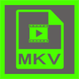Icon of program: Free MKV Converter