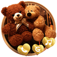Icono de programa: Teddy Bear Launcher Theme…