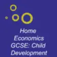 Icon of program: Home Economics GCSE: Chil…