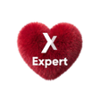 Icon of program: Expert X