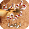 Icono de programa: Peer Naseer Ud Din Naseer…
