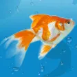 Icon of program: AquaLife 3D