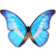Icono de programa: Stone WMV Converter