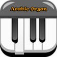 Icon of program: oriental / international …