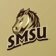 Icon of program: SMSU Athletics