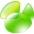 Icon of program: Navicat Essentials for My…