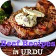 Icon of program: Beef Recipes in URDU