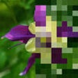 Icon of program: Color Hints Mosaic