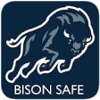 Icon of program: Bison Safe