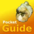Icon of program: Pocket Guide Guinea Pigs