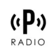 Icon of program: Power Positiva Radio