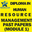 Icono de programa: DIPLOMA IN HUMAN RESOURCE…