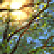 Icono de programa: Springtime 3D Screensaver