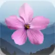 Icon of program: GSM Wildflowers