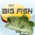 Icon of program: My Big Fish