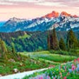 Icon of program: Mount Rainier National Pa…