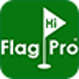 Icono de programa: FlagHi Pro