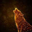 Icono de programa: Wolves Live Wallpaper