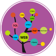Icono de programa: Learn Web Development