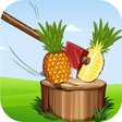 Icono de programa: Fruit Chop Games