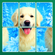 Icon of program: Jigblock: Solitaire Puzzl…