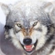 Icon of program: Animal Sounds(Free Today!…
