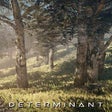 Icono de programa: Determinant