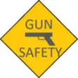 Icon of program: Gun Safety Test