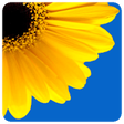 Icono de programa: Gallery