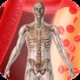 Icon of program: 3D Visual Muscle and Skel…