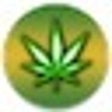 Icon of program: Leaf Guide