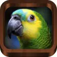 Icon of program: Bird Calls : Bird Sounds,…