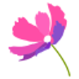 Icon of program: Beautiful Flower