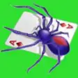 Icon of program: Free Spider Solitaire for…
