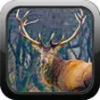 Icon of program: Deer Hunting Pro: Ace Tro…