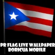 Icon of program: Puerto Rico Flag LiveWall…