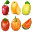 Icon of program: Vegetable And Fruit For E…