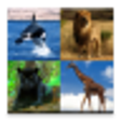 Icono de programa: Guess The Animal