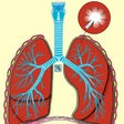 Icono de programa: Learn Medical Terminology