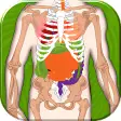 Icon of program: Human Body Anatomy Quiz