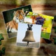 Icon of program: iSpy Montessori