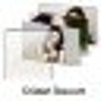 Icono de programa: Kristen Stewart Windows 7…