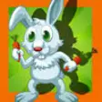 Icon of program: Bunny, Rabbit and Crazy E…